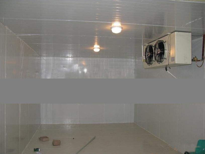 為什么商家一定要建冷庫？背后有多少利潤？